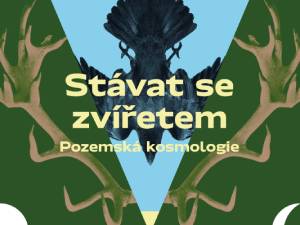Zasoutěžte si o návrat zvířete zpět do člověka