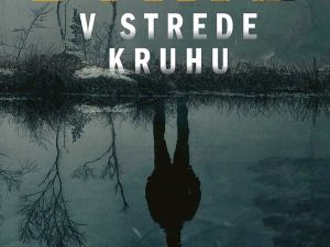 Recenzia Arne Dahl: V strede kruhu