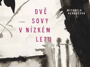 Dívka se záhadným původem
