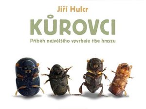 Jsou kůrovci zkázou lesů, nebo je to jinak?