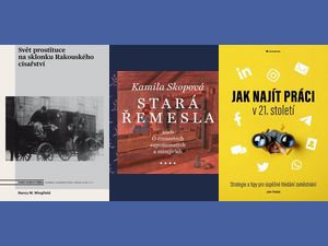 Řemesla a trh práce včera a dnes
