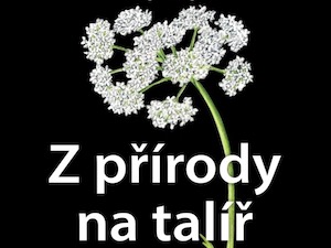 Ochutnejte kousek přírody