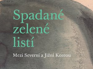 Temnota severokorejského režimu