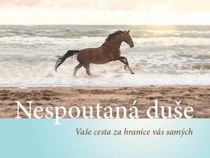 Poznejte sebe a svůj život