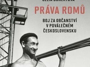 Romský boj za občanská práva