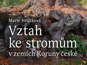 O významu stromů