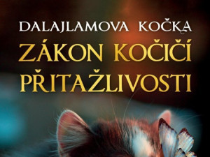 Vyhrajte kočičí zamyšlení nad zákonem přitažlivosti