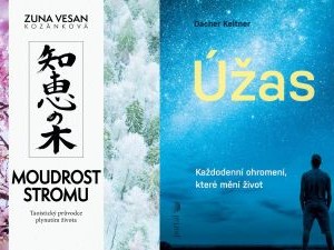 Zvládnout plynutí času s nadhledem