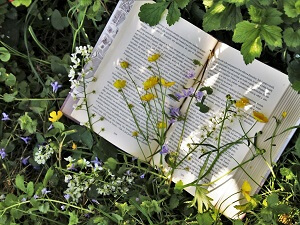Jak na to – jedineční rádci pro každou příležitost