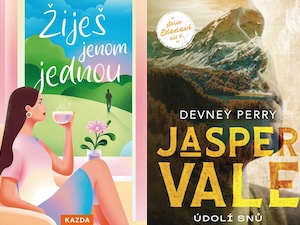 Zamilovat se ještě jednou