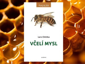 Každá včela je osobnost