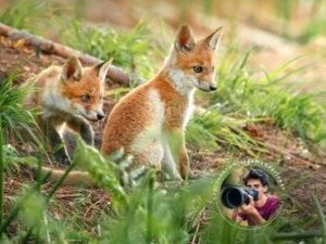 Pozvánka k objevování kouzla všedních chvil v přírodě
