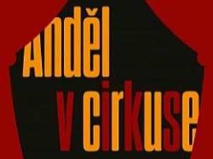 Čtenářská recenze: Anděl v cirkuse (Ondřej Fibich)