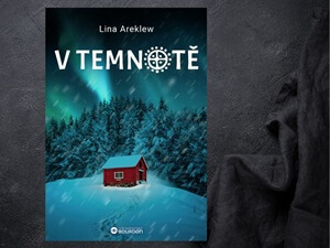 Temný švédský thriller pro milovníky napětí