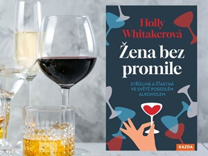 Průvodce ke střízlivému životu