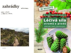 Zahrádky a jejich využití včera i dnes