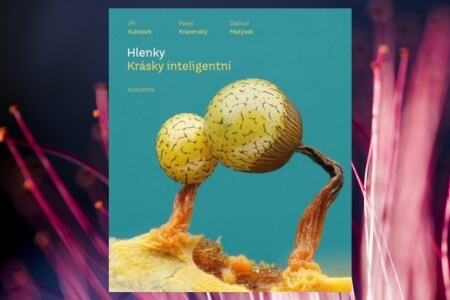 Hlenky – inteligentní krásky jako výzva pro makrofotografy