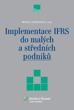 Implementace IFRS do malých a středních podniků