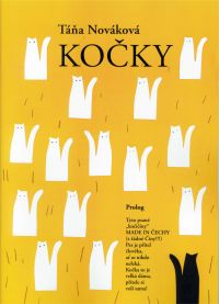 Kočky