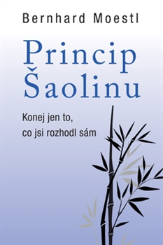 Princip Šaolinu