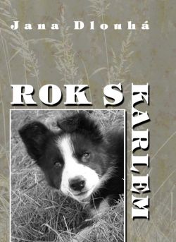 Rok s Karlem