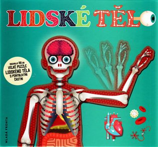 Lidské tělo puzzle
