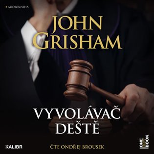 Vyvolávač deště (audiokniha)